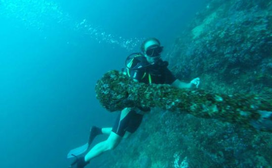 divers diving